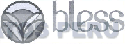 BLESS