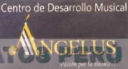 CENTRO DE DESARROLLO MUSICAL ÁNGELUS PASIÓN POR LA MÚSICA.!