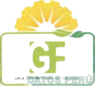 GF UNA EXPERIENCIA DE CALIDAD