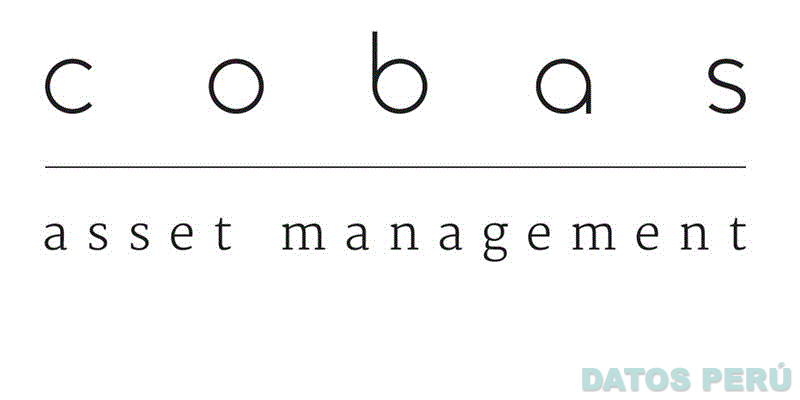COBAS ASSET MANAGEMENT