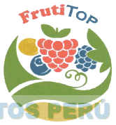 FRUTI TOP