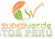 SV SUPERVERDE CONSORCIO SUPER VERDE EIRL