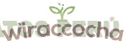 WIRACCOCHA