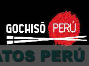 GOCHISO PERÚ