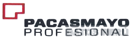 PACASMAYO PROFESIONAL