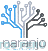 NARANJO CONSULTORES & ASOCIADOS