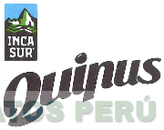 INCA SUR QUIPUS