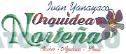 IVAN YANAYACO ORQUÍDEA NORTEÑA SICCHEZ - AYABACA - PIURA