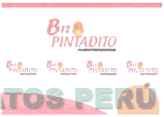 B12 PINTADITO