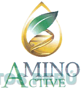AMINO ACTIVE