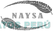NAYSA