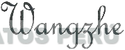 WANGZHE