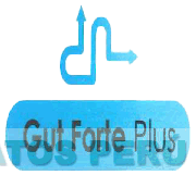 GUT FORTE PLUS