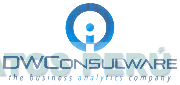 I DWCONSULWARE THE BUSINESS ANALYTICS COMPANY