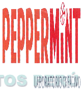 PEPPERMINT LABORATORIO CREATIVO