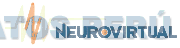 NEUROVIRTUAL