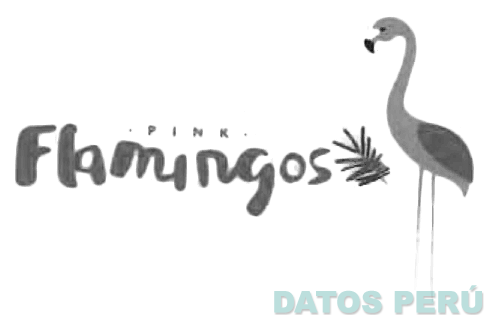 PINK FLAMINGOS