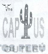THE CAPTUS OUTLET