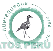 HUEREQUEQUE AVOCADO-PERÚ