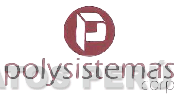 P POLYSISTEMAS CORP