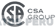 CSA GROUP