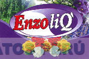 ENZOLIQ'