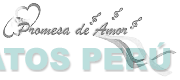 PROMESA DE AMOR