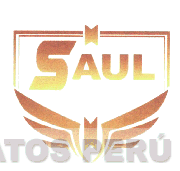 SAUL