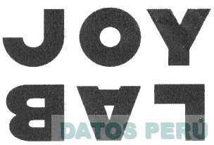 JOY LAB