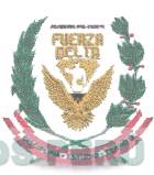 ACADEMIA PRE-CADETE FUERZA DELTA DISCIPLINA-ESTUDIO-TRIUNFO