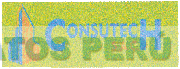 CONSUTECH S.A.C.
