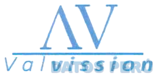 AV VALVISSION