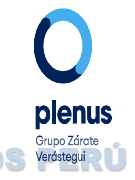 PLENUS GRUPO ZÁRATE VERÁSTEGUI