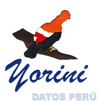 YORINI