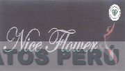 NICE FLOWER