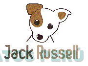JACK RUSSELL