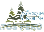 BOSQUES DE NEBLINA