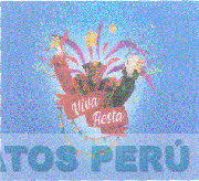 VIVA FIESTA
