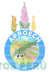 APROECH CHUQUIBAMBA