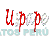 USPAPE