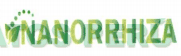NANORRHIZA