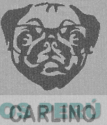 LA CURE BEAUTE PARIS