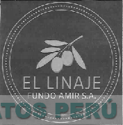 EL LINAJE FUNDO AMIR S.A.