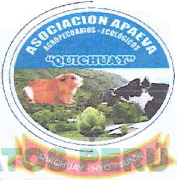 ASOCIACION APAEVA AGROPECUARIOS - ECOLOGICOS QUICHUAY QUICHUAY-HYO-JUNIN