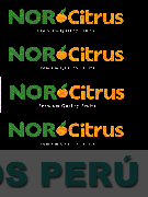 NOR CITRUS PREMIUM QUALITY FRUITS