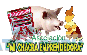 ASOCIACIÓN MI CHACRA EMPRENDEDORA