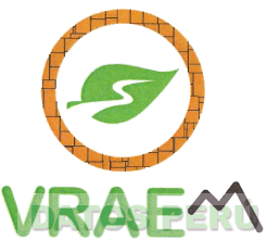 VRAEM