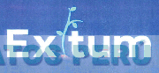 EXITUM