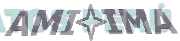 AMI IMA