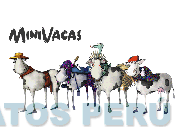 MINIVACAS